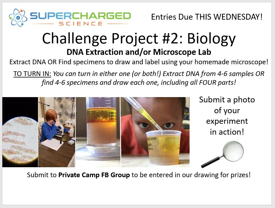 ssw-day2-challenge2
