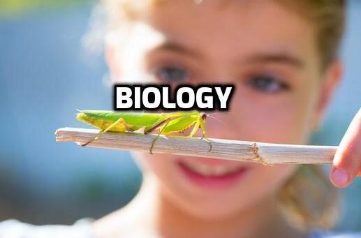 Biology-2